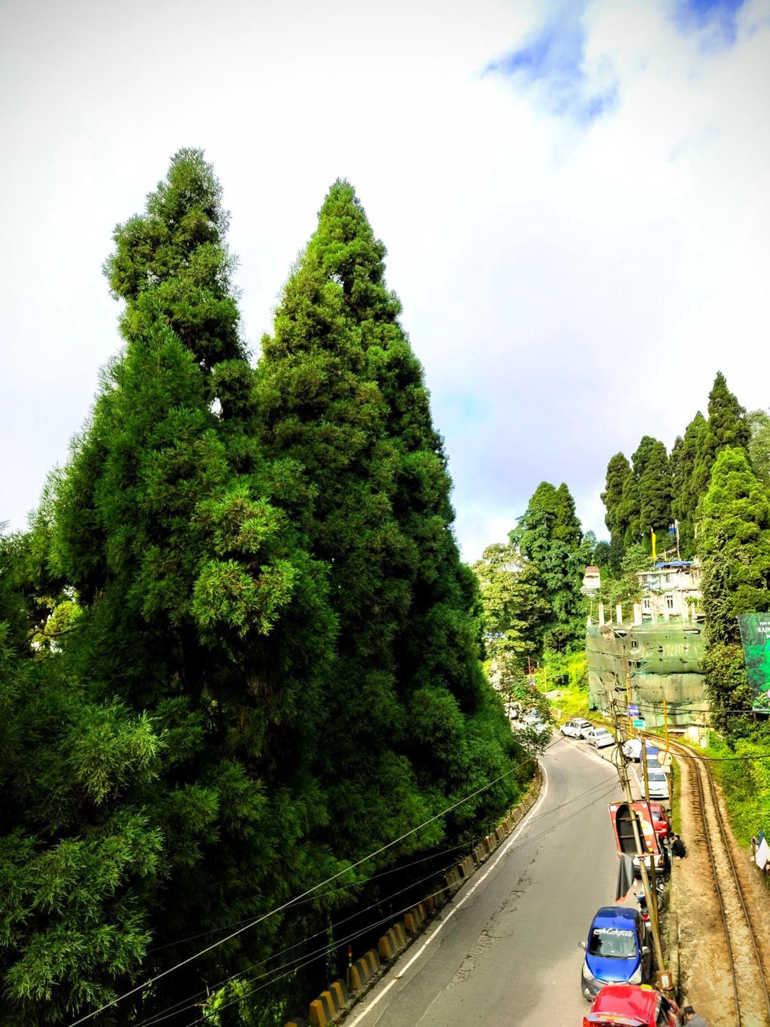 Hidden Monkey Backpackers Darjeeling, Batasia Дарджилинг Экстерьер фото